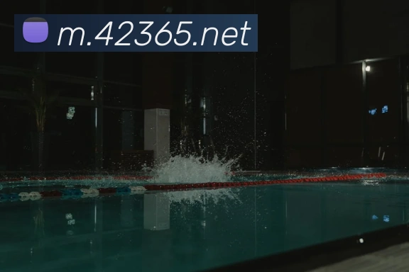 bet365中国官网登录入口发展历程